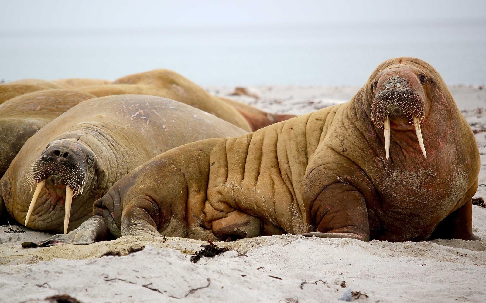 Folders and pricing worksheet